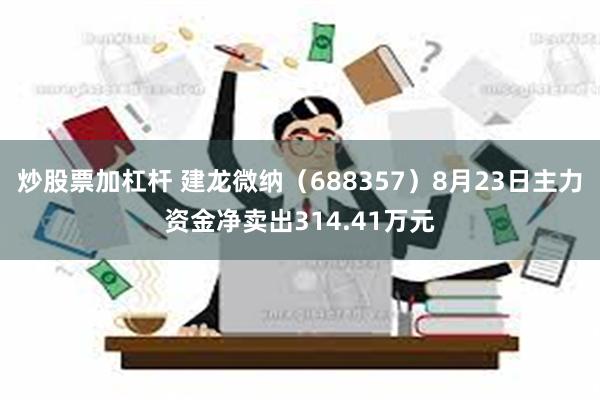 炒股票加杠杆 建龙微纳（688357）8月23日主力资金净卖出314.41万元