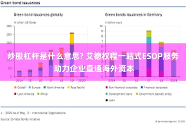 炒股杠杆是什么意思? 艾德权程一站式ESOP服务 助力企业直通海外资本