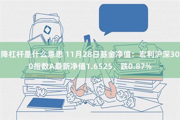 降杠杆是什么意思 11月28日基金净值：宏利沪深300指数A最新净值1.6525，跌0.87%