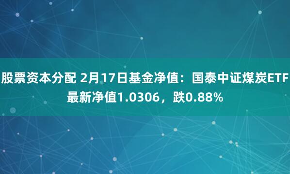 股票资本分配 2月17日基金净值：国泰中证煤炭ETF最新净值1.0306，跌0.88%