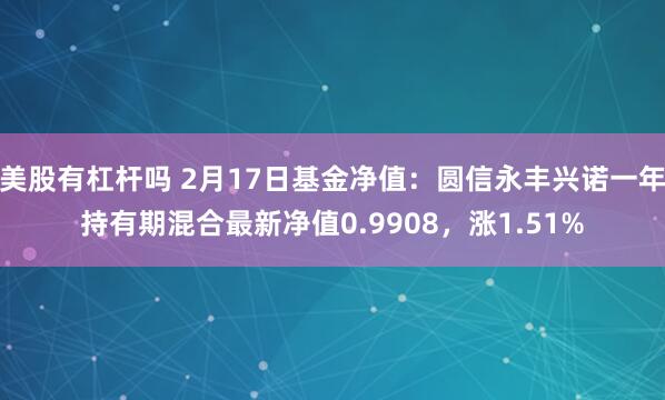 美股有杠杆吗 2月17日基金净值：圆信永丰兴诺一年持有期混合最新净值0.9908，涨1.51%