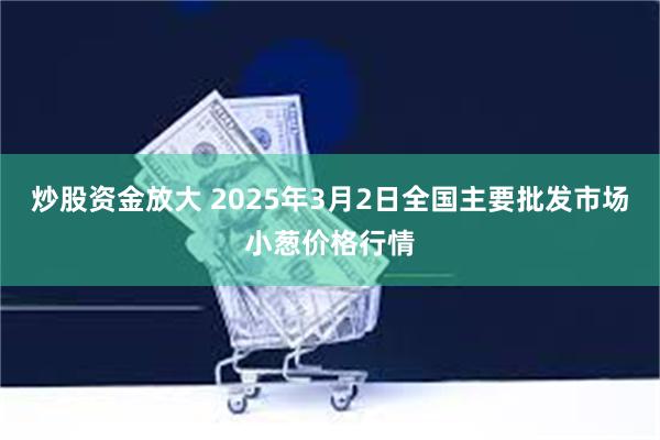 炒股资金放大 2025年3月2日全国主要批发市场小葱价格行情