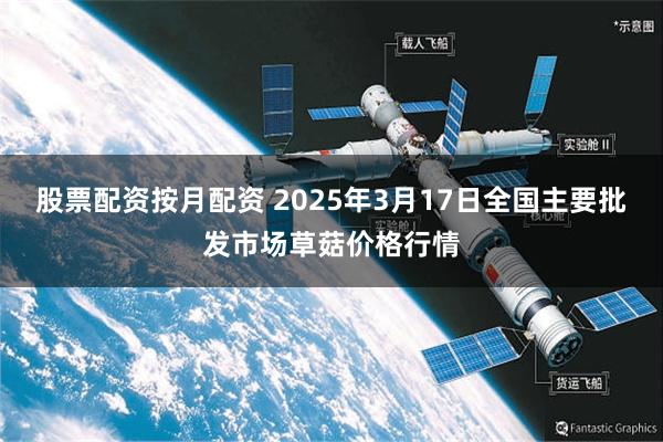 股票配资按月配资 2025年3月17日全国主要批发市场草菇价格行情